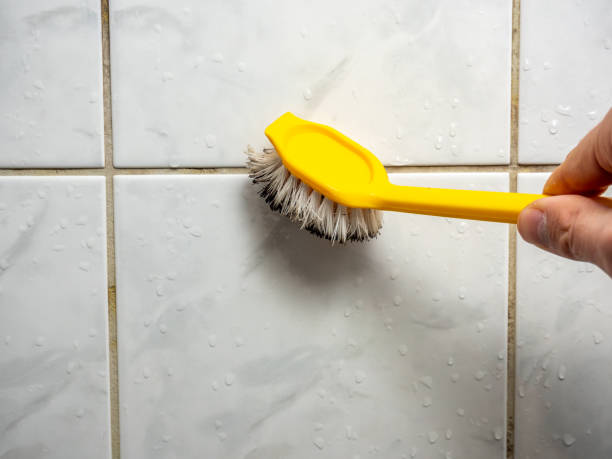 Best Post-Remediation Services in Pinson, AL