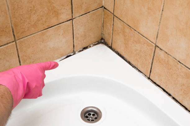 Best Residential Mold Remediation in Pinson, AL